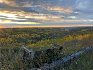 Meet your Posher, Makenna